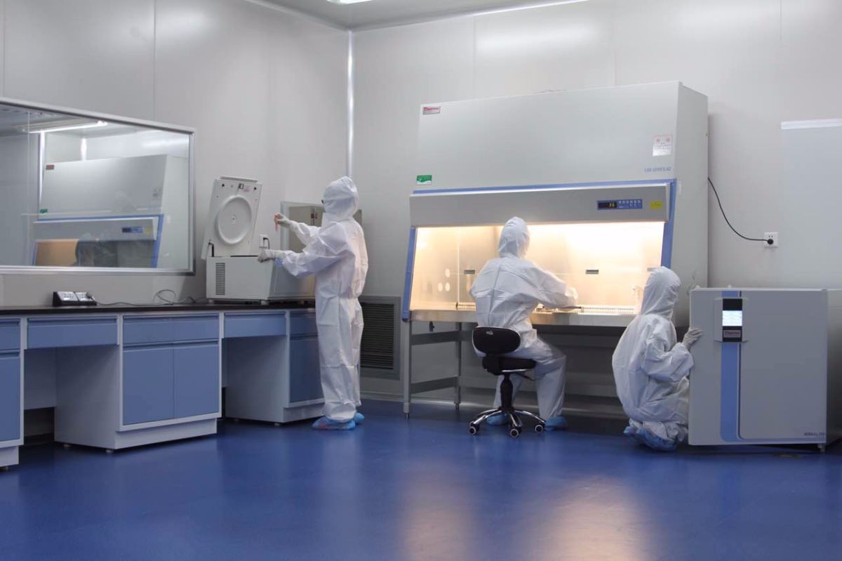 實(shí)景圖展示